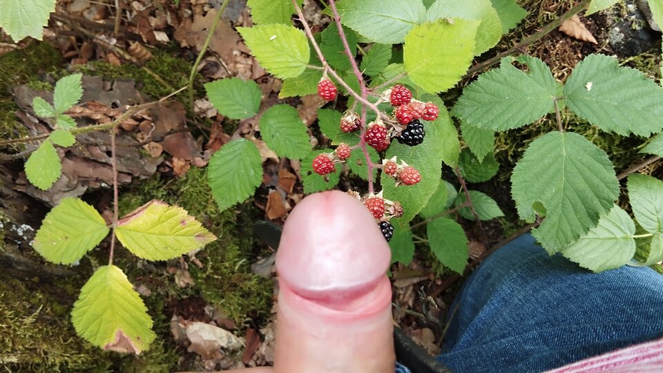 IMG_20230730_155710.jpg - focus25