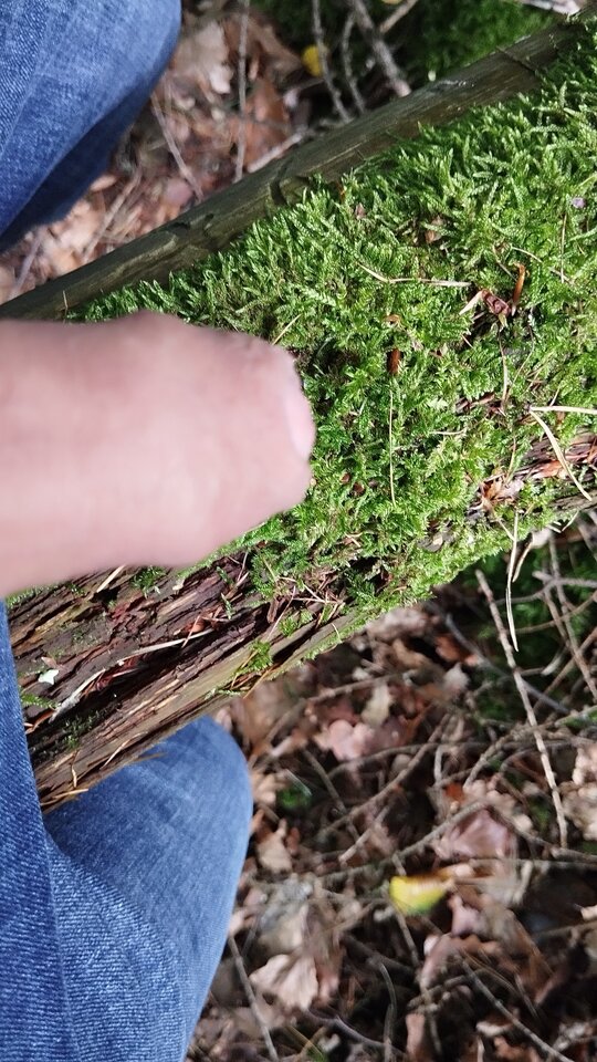 IMG_20230730_153333.jpg - focus25