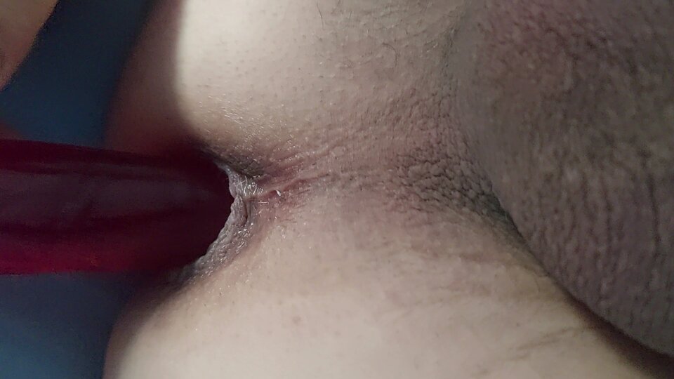 VideoCapture_20230824-064642.jpg - daria75