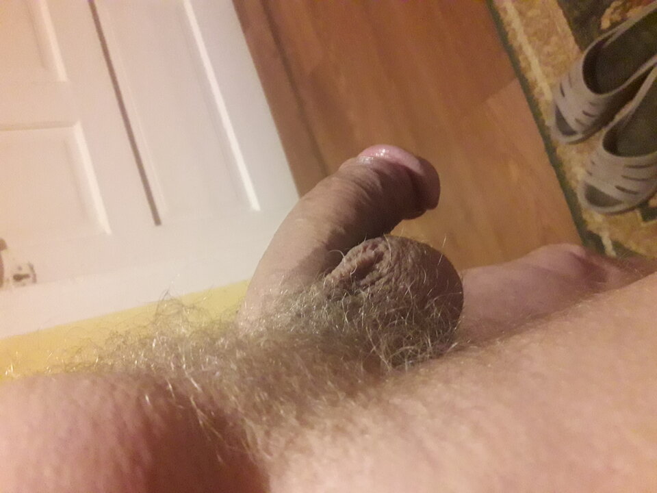 20230825_052511.jpg - brus13