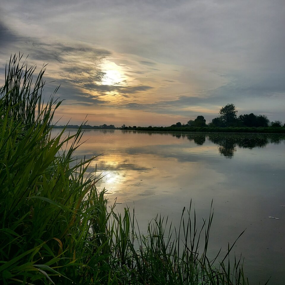 20230825_064356.jpg - Matteussz