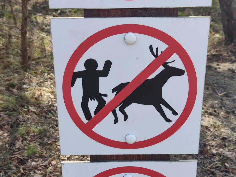 IMG_20220326_114003.jpg - edytkaandrzej