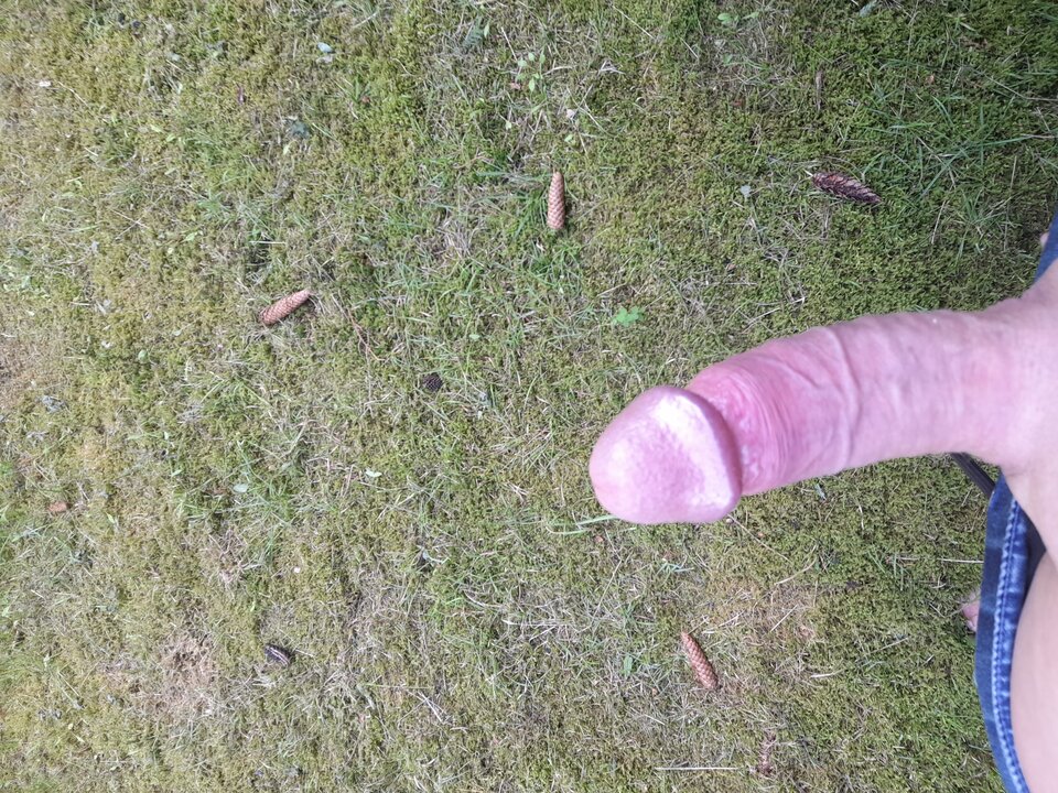 16929602964386956062056455100464.jpg - hej34