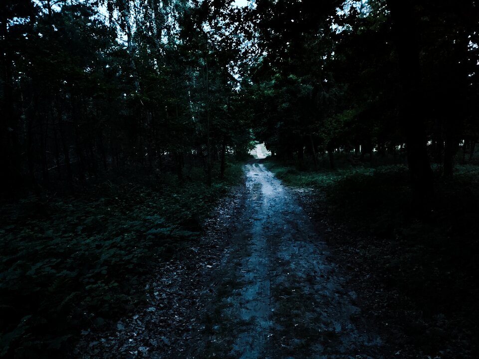 IMG_20230701_221035.jpg - BedeOpowiadal