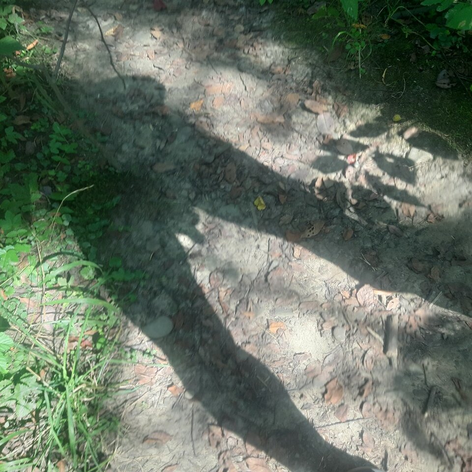 20230825_133012.jpg - Ali70plus