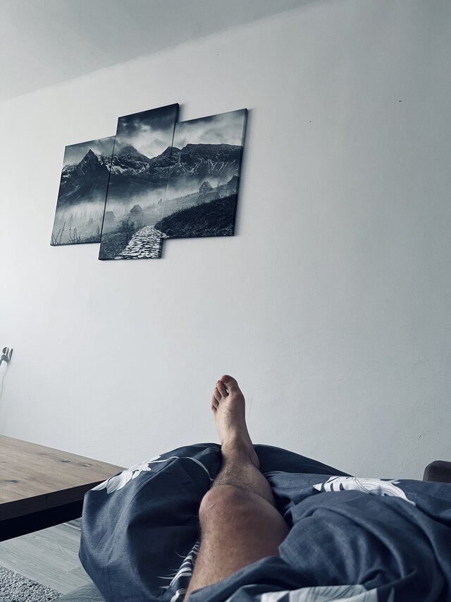 Brunet_wieczorowa_Por_a