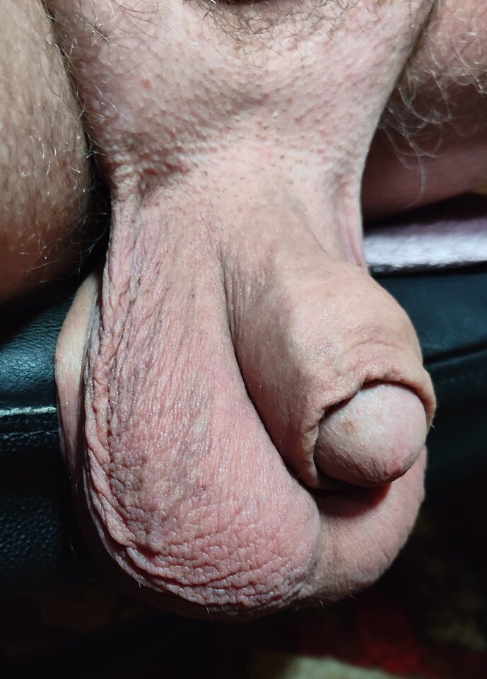 IMG_20230825_222840.jpg - jogan