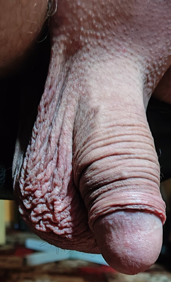 IMG_20230825_224633.jpg - jogan