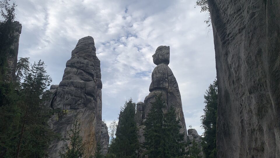 IMG_7820.jpeg - moby_dick