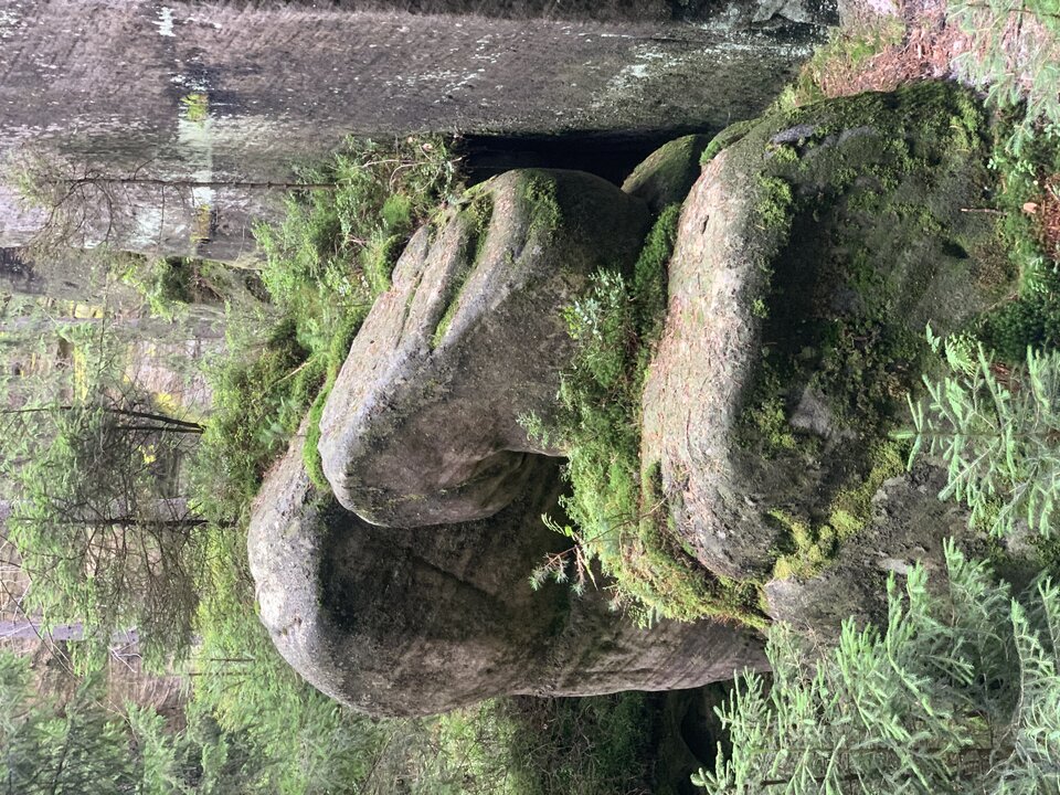 IMG_7771.jpeg - moby_dick