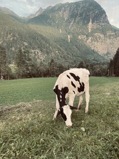 IMG_4341.jpeg