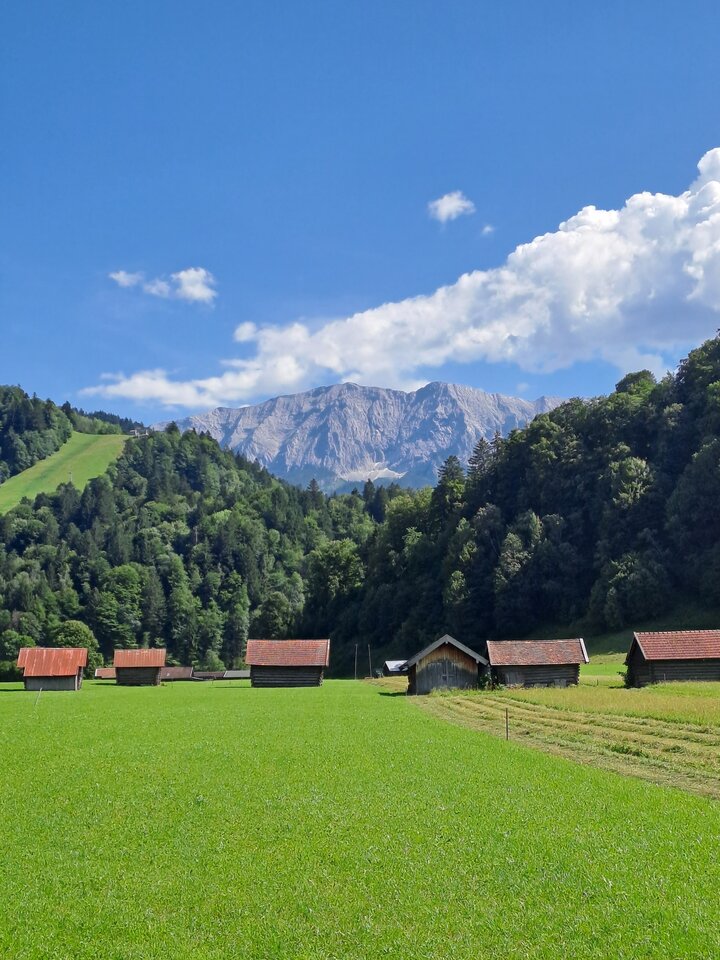 1000002788.jpg - bobileo76