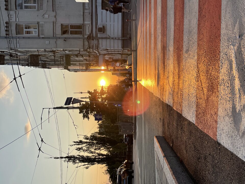 IMG_3563.jpeg - Intrigueduk