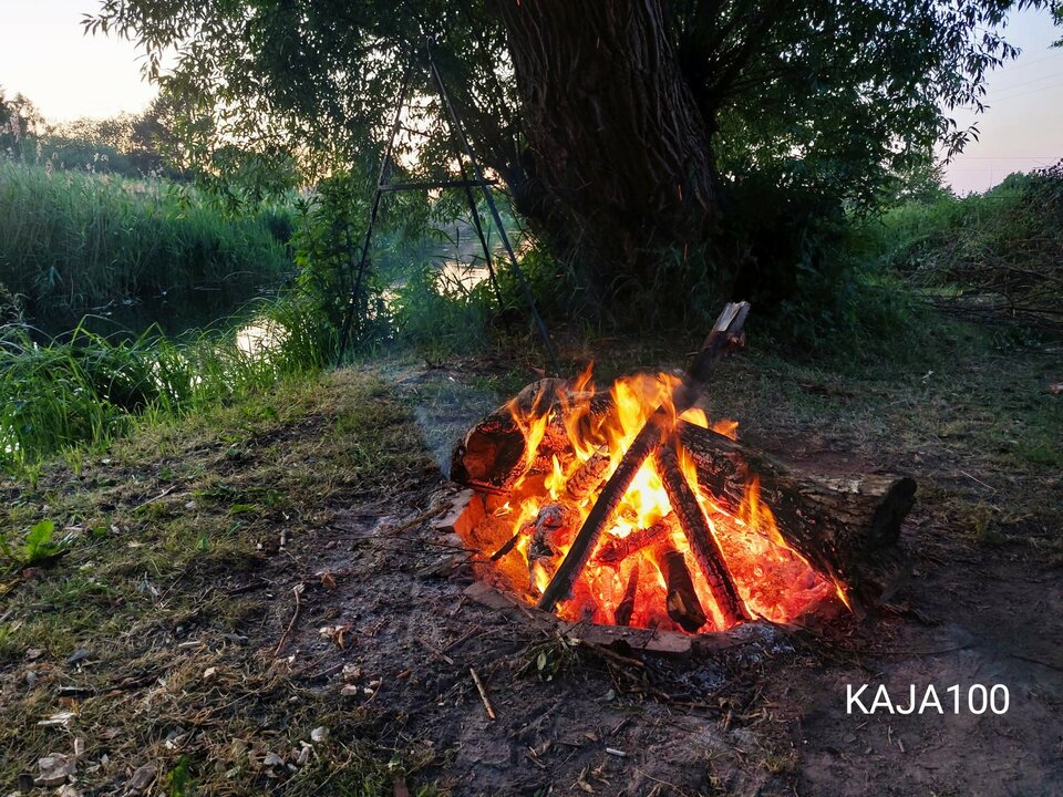 IMG_20230610_213551~3.jpg - KAJA100