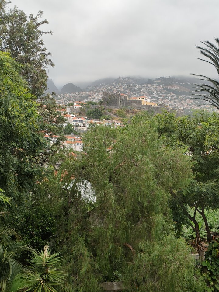 16930738190787748790086614549277.jpg - Cynamon1978