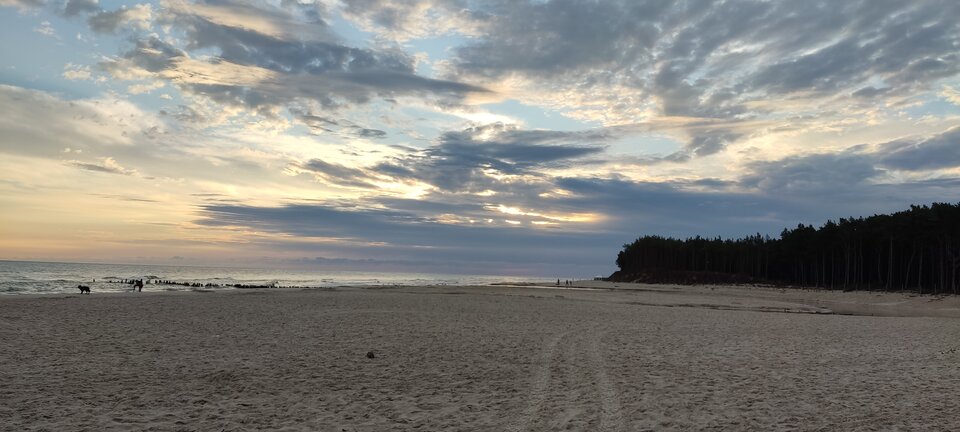 IMG_20230827_062022.jpg - edytkaandrzej