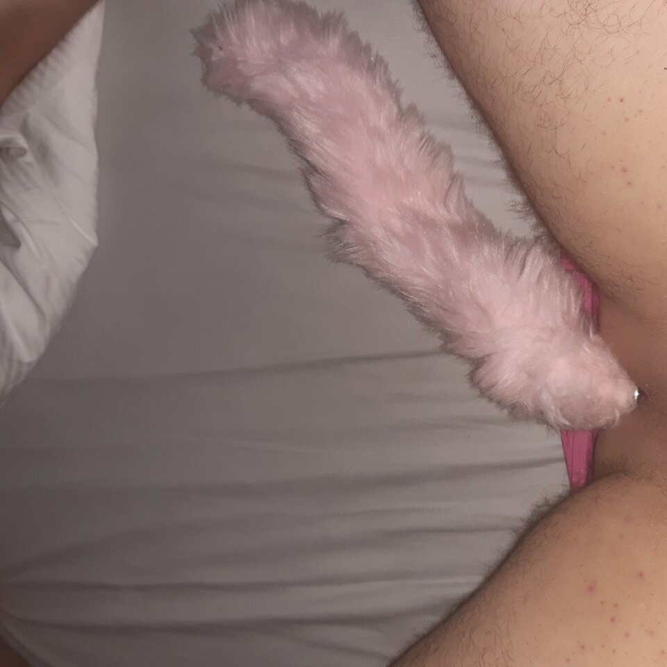 20230825_003336.jpg - Majachce