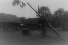 DSC_6458,.jpg