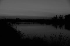 DSC_3633 (2).JPG