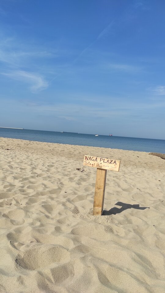 IMG_20230825_143008.jpg - 1306