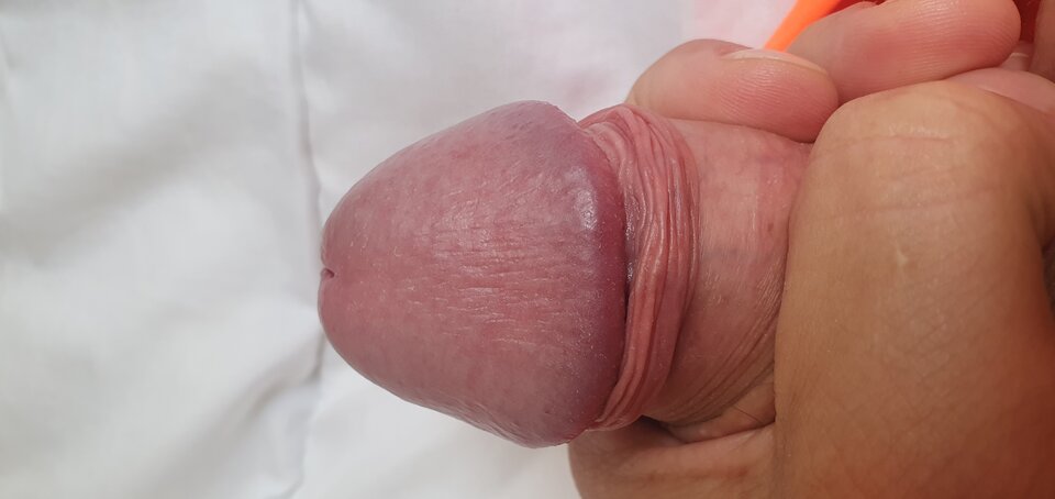 1693144556307962210147146978006.jpg - Zgrabnypen