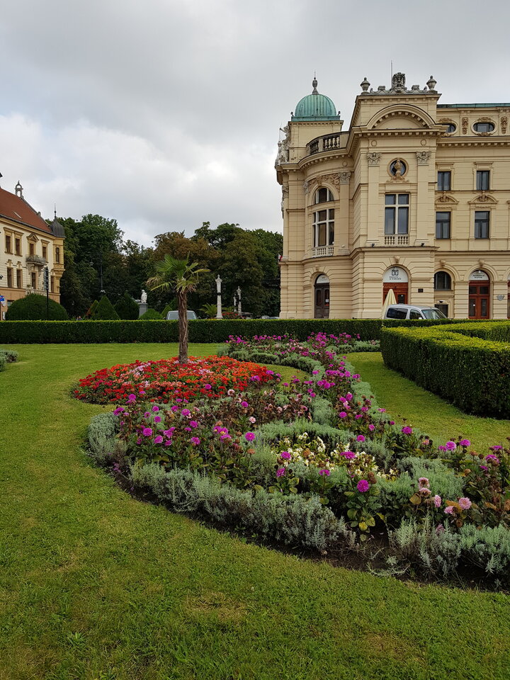 20230827_100713.jpg - Odkrywajac_powoli