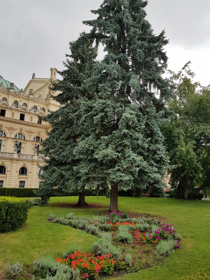20230827_100753.jpg - Odkrywajac_powoli