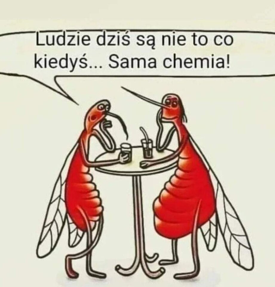 IMG_20230825_214722.jpg - Nicci