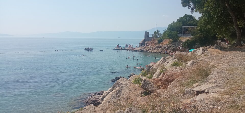 IMG_20230824_142140.jpg - Kur_acjuszka