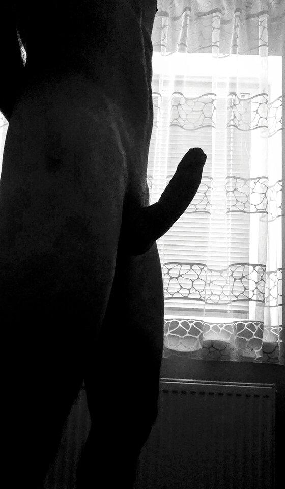 1693289255322.jpg - Pawel_lbnn