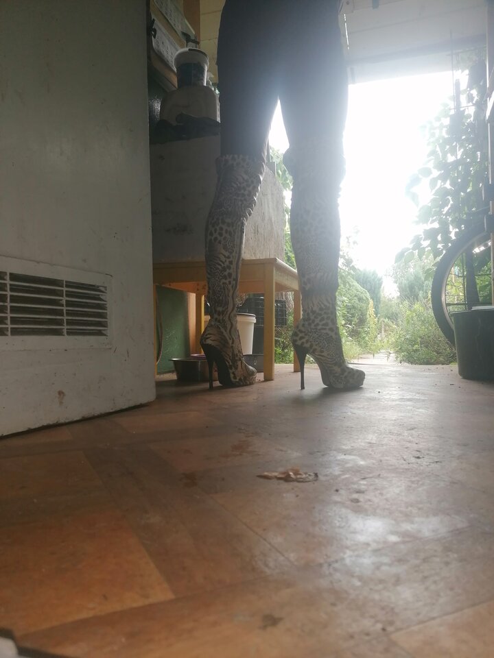 IMG_20230829_105130.jpg - unialeszno