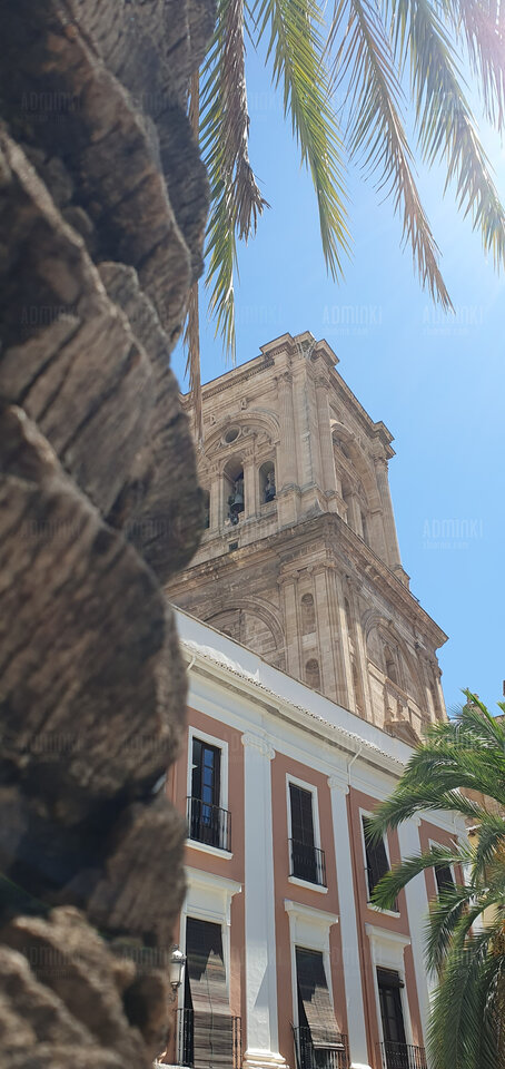 🇪🇦❤️🌞🌴🌴 - Adminki