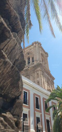 🇪🇦❤️🌞🌴🌴