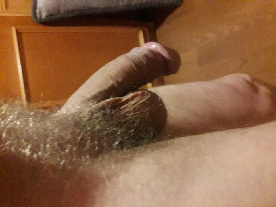 20230830_052932.jpg - brus13