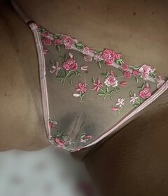 IMG_2317.jpeg