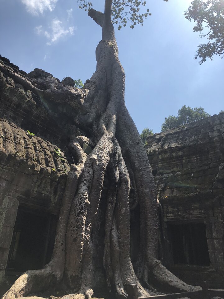 IMG_4241.jpeg - Are_there_impossible_things