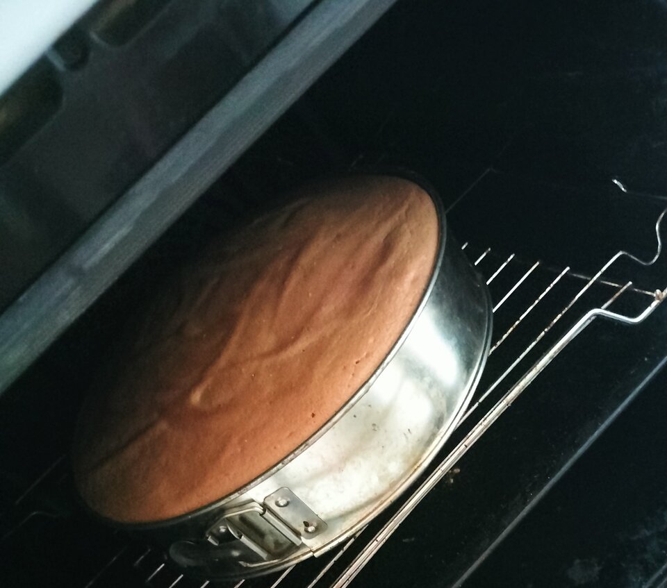 IMG_20230830_144338.jpg - Niunka150990