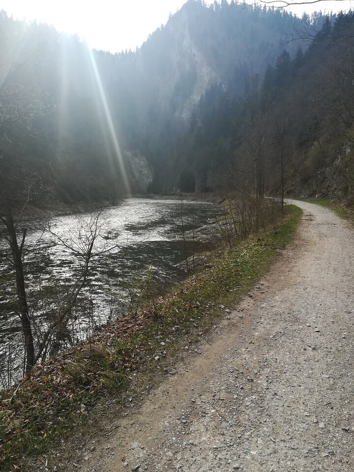 IMG_20190414_162216.jpg - Zegna49