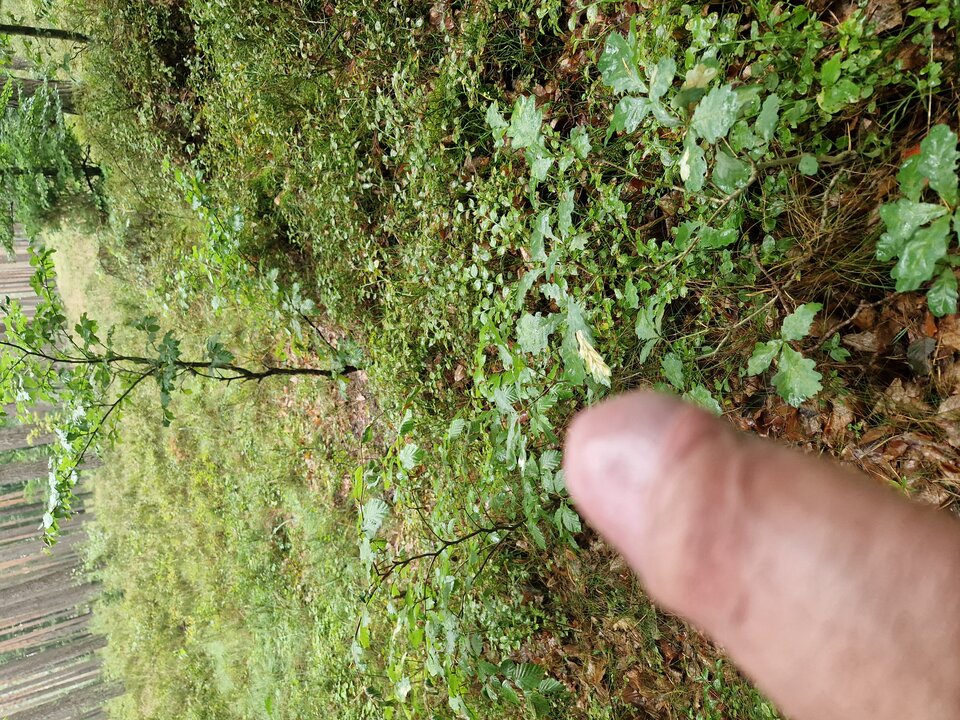 20230830_150715.jpg - GrzecznyGrudziadz69