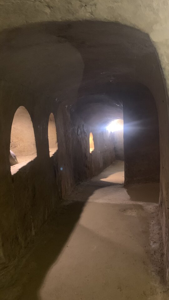 IMG_8019.jpeg - moby_dick