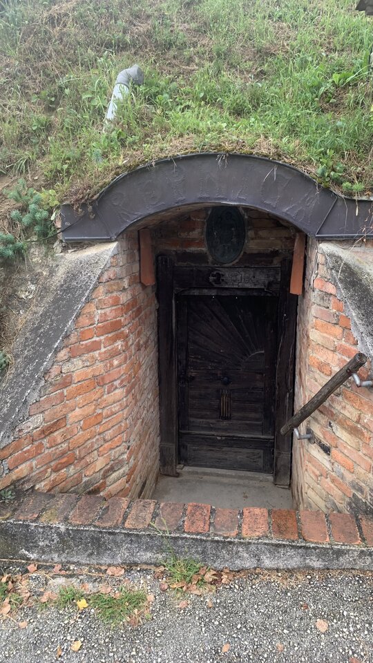 IMG_8017.jpeg - moby_dick