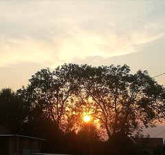 IMG_20230612_012526.jpg
