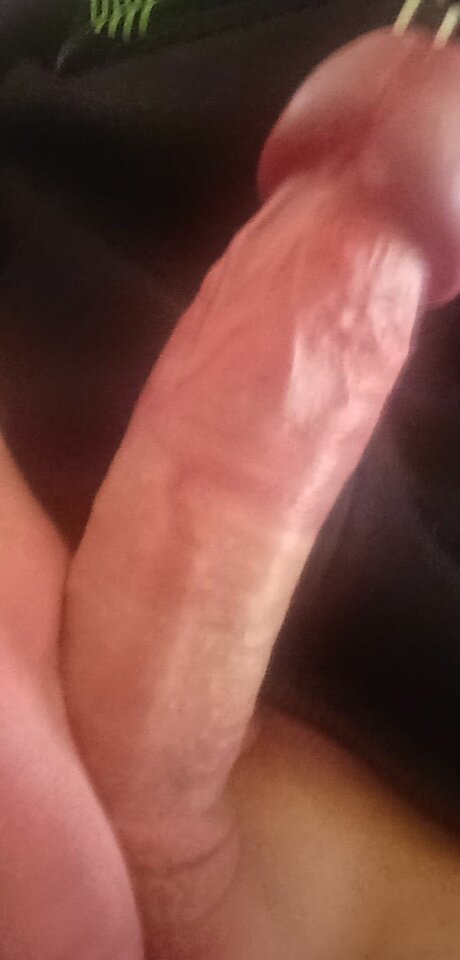 Snapchat-1712701069.jpg - Bullekzs