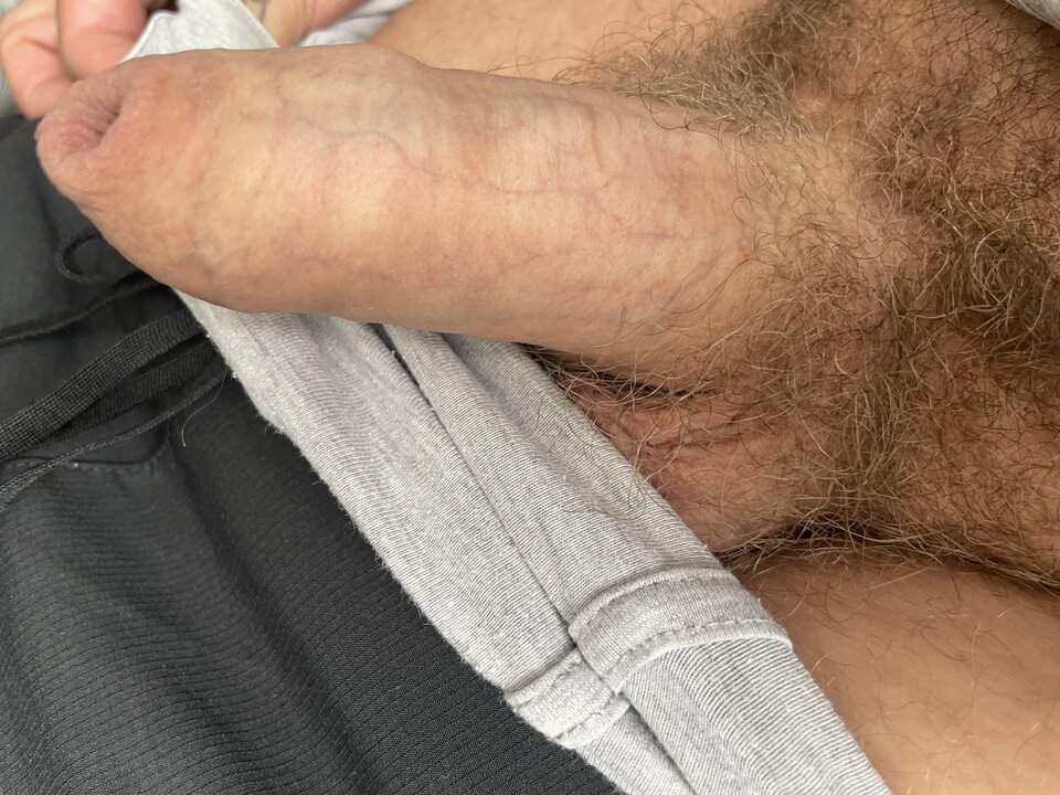 IMG_2779.jpeg - Sliter11