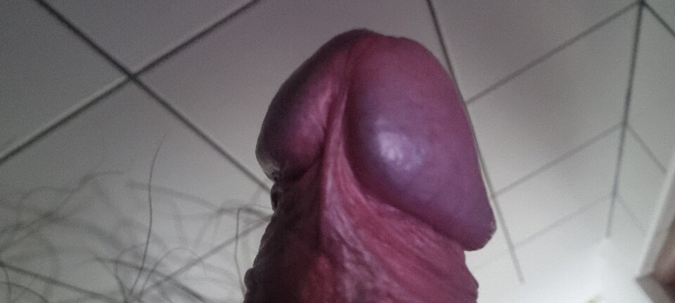 20230831_102425.jpg - bari