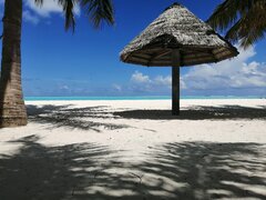 IMG_20210718_123138.jpg