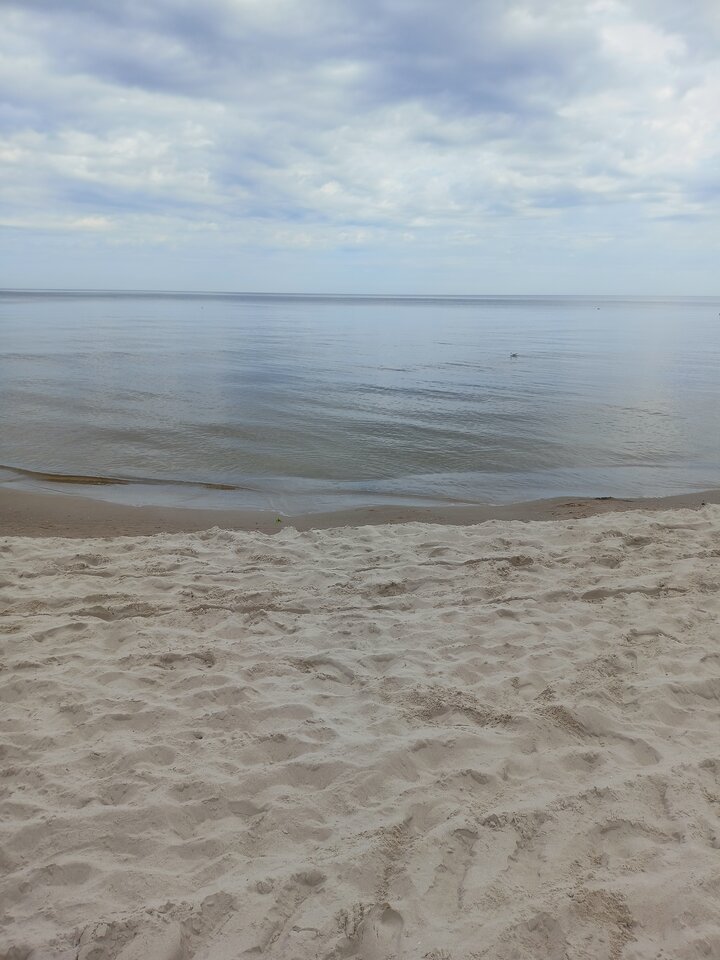 IMG20230814095508.jpg - Zapamietaj3