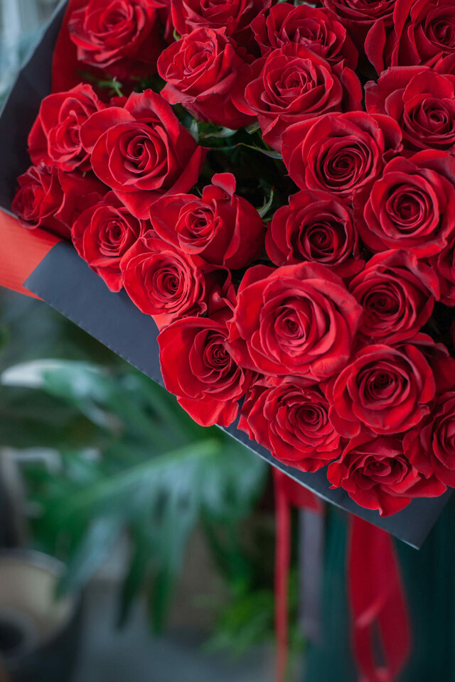 bukiet-róż-1-scaled.jpg - Tajemnicza333