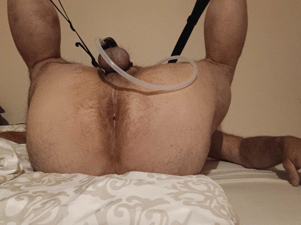 received_1005811090630463.jpeg - Thomas57