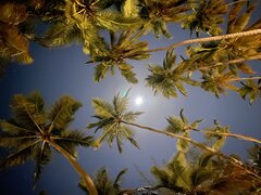 IMG_0019.jpeg